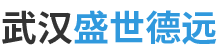 武漢汽車衡